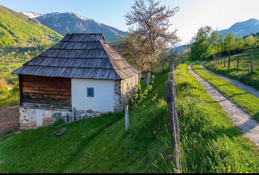Household Babovic - Old House Miljan'S Valley Andrijevica Eksteriør bilde
